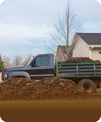 Soil delivery image
